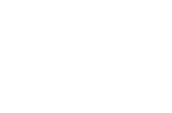 Vajram Chrysanthemum